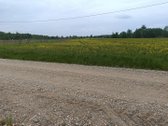 Rukainių sen. Naujasėdžių k. parduodamas 1,51