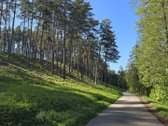 Sodybviete 1,60 ha su 200m smeletos ežero - nuotraukos Nr. 27