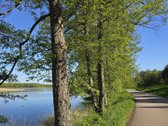 Sodybviete 1,60 ha su 200m smeletos ežero - nuotraukos Nr. 28