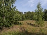 Sklypas patenka į Utenos urbanizuotų ir - nuotraukos Nr. 2