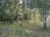 Sklypas patenka į Utenos urbanizuotų ir - nuotraukos Nr. 3