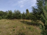 Sklypas patenka į Utenos urbanizuotų ir - nuotraukos Nr. 4