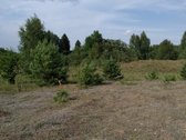 Sklypas patenka į Utenos urbanizuotų ir - nuotraukos Nr. 5