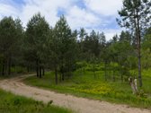 Gražutes regioniniame parke sodyba, šalia - nuotraukos Nr. 2