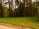 Gera perspektivii investicija. Sklypas - nuotraukos Nr. 7
