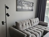 Noreikiškėse, naujos statybos namų kvartale - nuotraukos Nr. 7