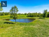 Parduodamas 5,0355 Ha Sklypas Su 3 Prūdais – - nuotraukos Nr. 14