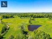 Parduodamas 5,0355 Ha Sklypas Su 3 Prūdais – - nuotraukos Nr. 17