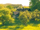 Nuomojamas vienkiemis su 1ha žemės su sodu, - nuotraukos Nr. 17