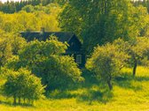 Nuomojamas vienkiemis su 1ha žemės su sodu, - nuotraukos Nr. 18
