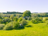 Nuomojamas vienkiemis su 1ha žemės su sodu, - nuotraukos Nr. 2