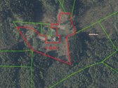 Parduodama 2.13 ha. ploto žemės sklypo dalis - nuotraukos Nr. 5
