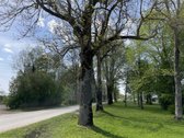 Parduodamas Sklypas Vaizdingoje Vietovėje,