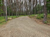 Bendra gyvenvietės teritorija - virš 12 ha ! - nuotraukos Nr. 27