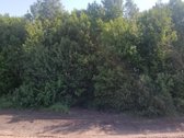 Ieškote vietos savo svajonių namui kur - nuotraukos Nr. 3