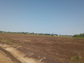 Ieškote vietos savo svajonių namui kur - nuotraukos Nr. 7