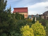 Parduodama išskirtinė sodyba esanti - nuotraukos Nr. 11