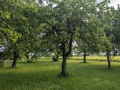 Vos už 40 km nuo Vilniaus, privažiavimas - nuotraukos Nr. 11