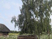 Vos už 40 km nuo Vilniaus, privažiavimas - nuotraukos Nr. 13