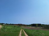 Parduodamas 1,24 ha ploto žemės ūkio - nuotraukos Nr. 5