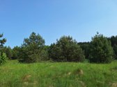 Parduodamas 1,24 ha ploto žemės ūkio - nuotraukos Nr. 11