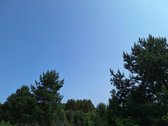 Parduodamas 1,24 ha ploto žemės ūkio - nuotraukos Nr. 14