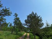 Parduodamas 1,24 ha ploto žemės ūkio - nuotraukos Nr. 6