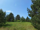 Parduodamas 1,24 ha ploto žemės ūkio - nuotraukos Nr. 12