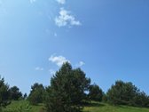 Parduodamas 1,24 ha ploto žemės ūkio - nuotraukos Nr. 18