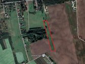 Parduodamas 1,5909 ha žemės ūkio paskirties - nuotraukos Nr. 3
