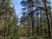 Loftas Prie Miško  Raw Erdvė Jūsų Vizijai - nuotraukos Nr. 22