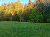Ši nuostabi pamiškė, su išlikusiais senais - nuotraukos Nr. 7