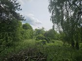 Skubiai parduodu du butus Pagėgiuose, galima - nuotraukos Nr. 17