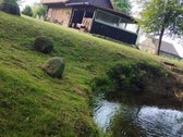 Parduodama nedidelė sodybėlė dzūkijoje šalia