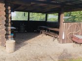 Parduodama nedidelė sodybėlė dzūkijoje šalia - nuotraukos Nr. 4