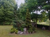 Parduodama nedidelė sodybėlė dzūkijoje šalia - nuotraukos Nr. 12
