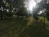 Parduodama nedidelė sodybėlė dzūkijoje šalia - nuotraukos Nr. 13