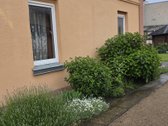 Parduodama namo dalis – pirmas aukštas - nuotraukos Nr. 2