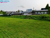 Balsiuose, Šalia Raudondvario Miško Ir Neries - nuotraukos Nr. 9