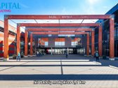 Balsiuose, Šalia Raudondvario Miško Ir Neries - nuotraukos Nr. 11