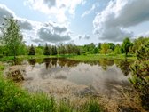 Parduodamas ramybe apsuptas, Stirniškių kaime - nuotraukos Nr. 3