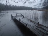 Parduodamas 0,78 ha žemės ūkio paskirties