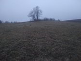 Parduodamas 0,78 ha žemės ūkio paskirties - nuotraukos Nr. 2