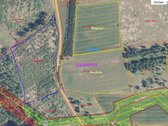 Parduodamas 2,57 ha žemės ūkio paskirties - nuotraukos Nr. 2