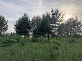 Parduodamas 2,57 ha žemės ūkio paskirties - nuotraukos Nr. 5
