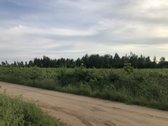 Parduodamas 2,57 ha žemės ūkio paskirties - nuotraukos Nr. 6