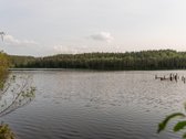 Parduodama sodyba Palaumenio kaime, - nuotraukos Nr. 5