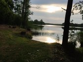 Parduodama nedidelė sodybėlė dzūkijoje šalia - nuotraukos Nr. 14