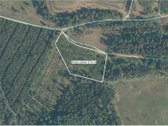 Nauja kaina! Parduodami trys sklypai 10,81 ha - nuotraukos Nr. 7