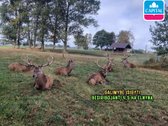 Parduodama Kaimo Turizmo Sodyba „milkintynė“ - nuotraukos Nr. 36